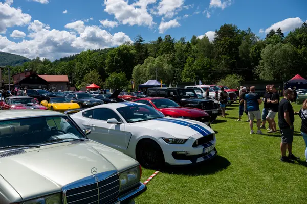 Řada Mustangů a veteránů na trávníku pod Kozubovou